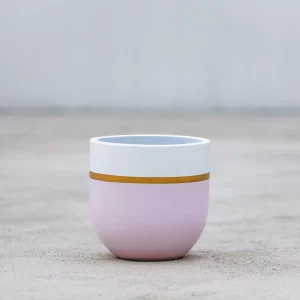 Dessert Oasis Modern Indoor Pot