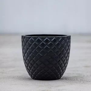 Pine Modern Indoor Pot