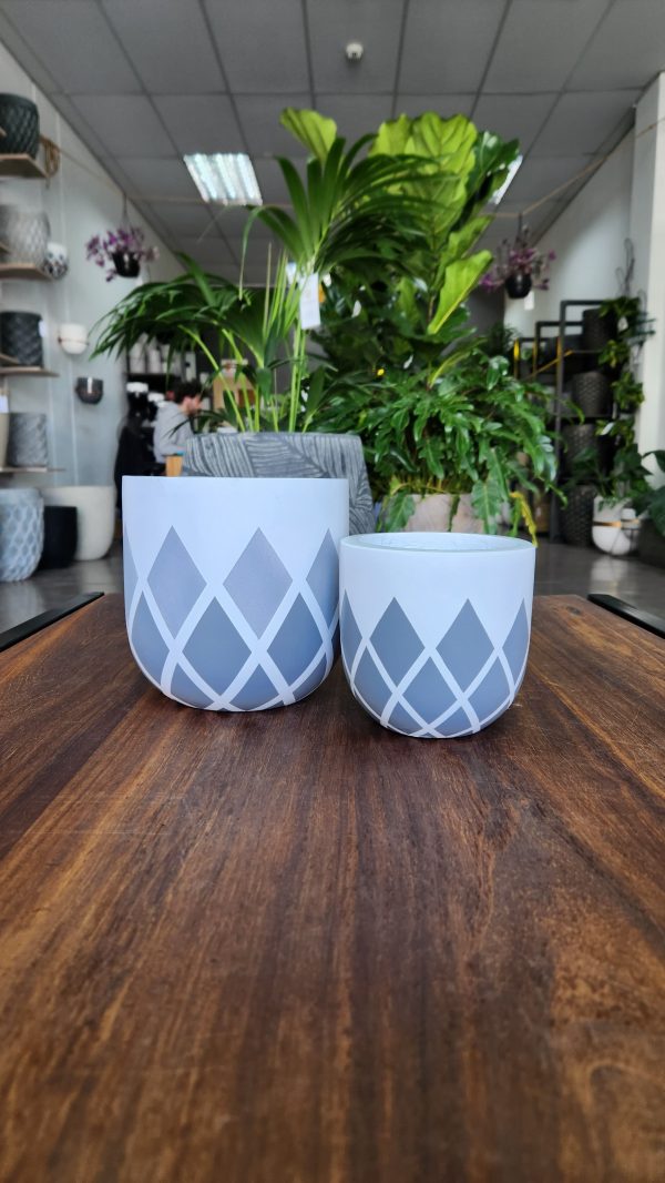 Grey Griffin - Modern indoor pot combo