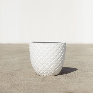 White Pine Fiber-Glass Modern Pot