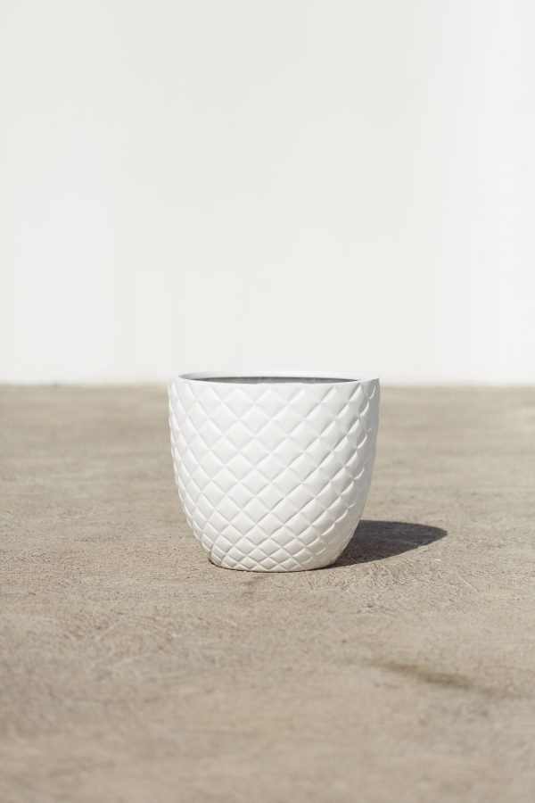 White Pine Fiber-Glass Modern Pot