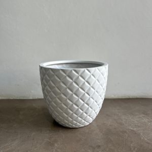 White Pine Fiber-Glass Modern Pot