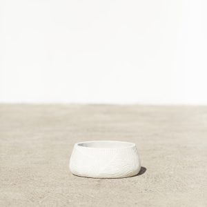 White Maple Bowl Modern Outdoor Pot