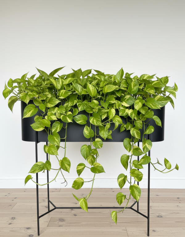 The Capsule Steel Planter - Image 2