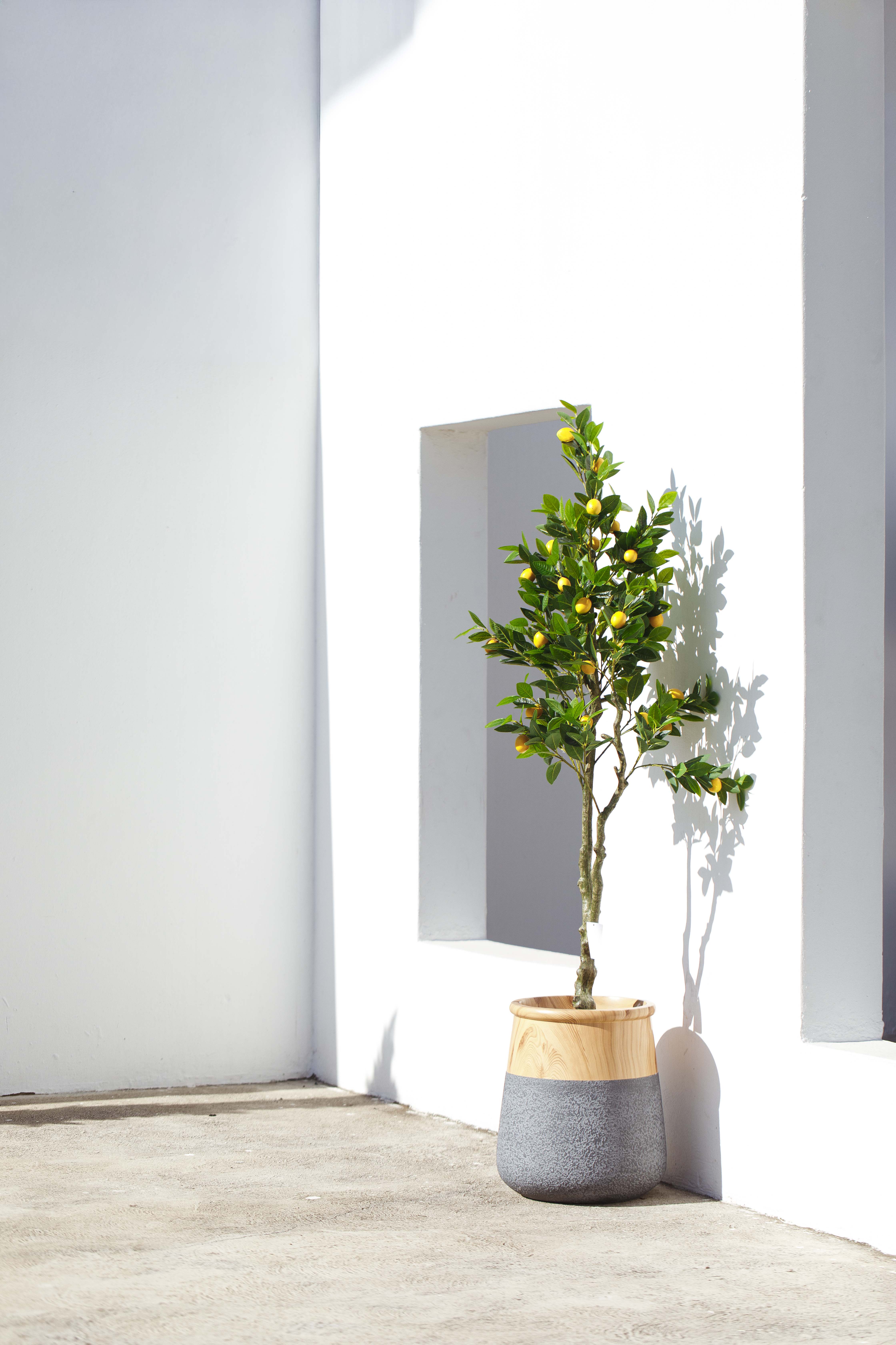 Grey Meridian Modern Indoor Pot - Image 2