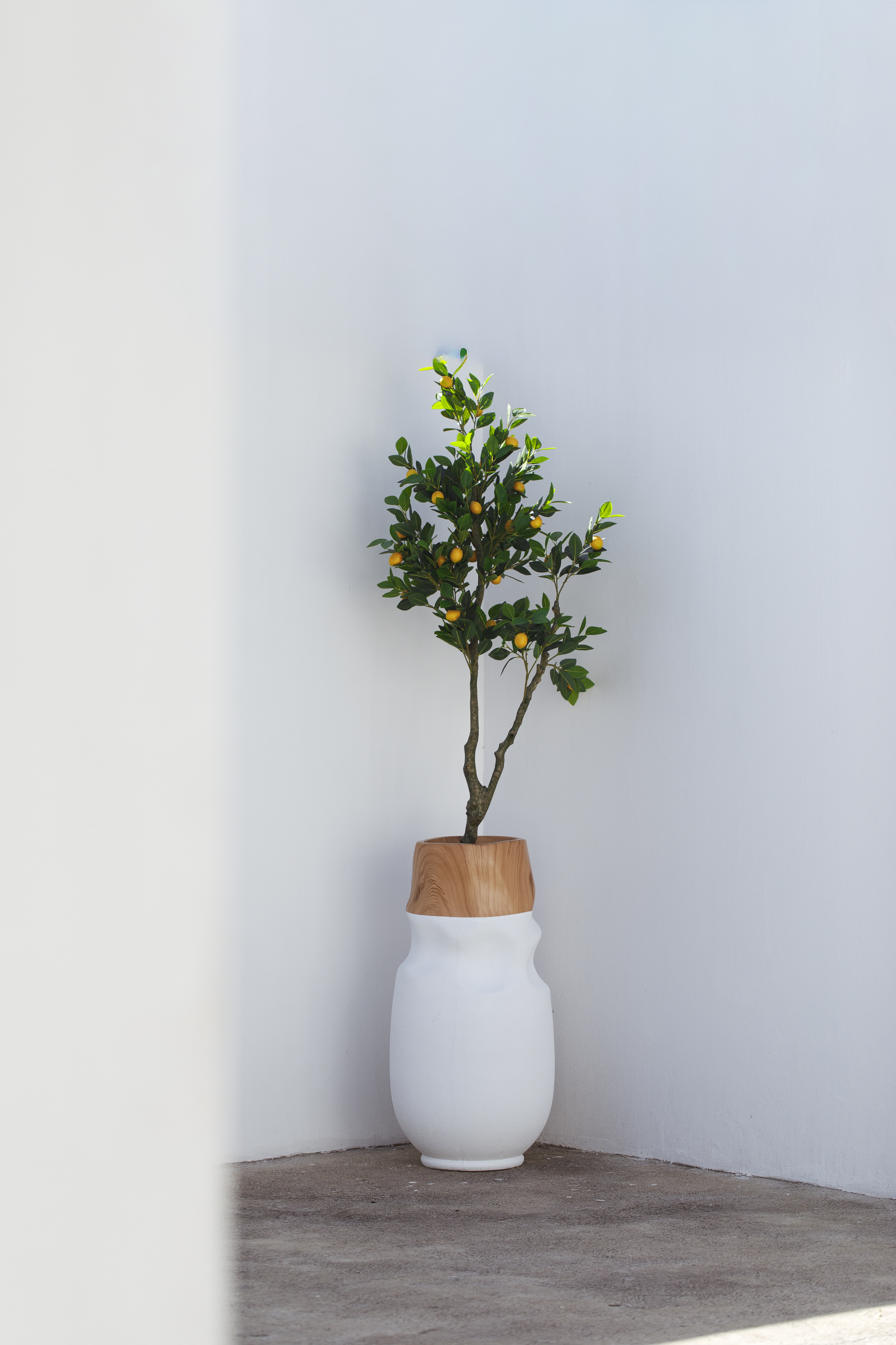 White Aura Modern Indoor Pot - Image 3