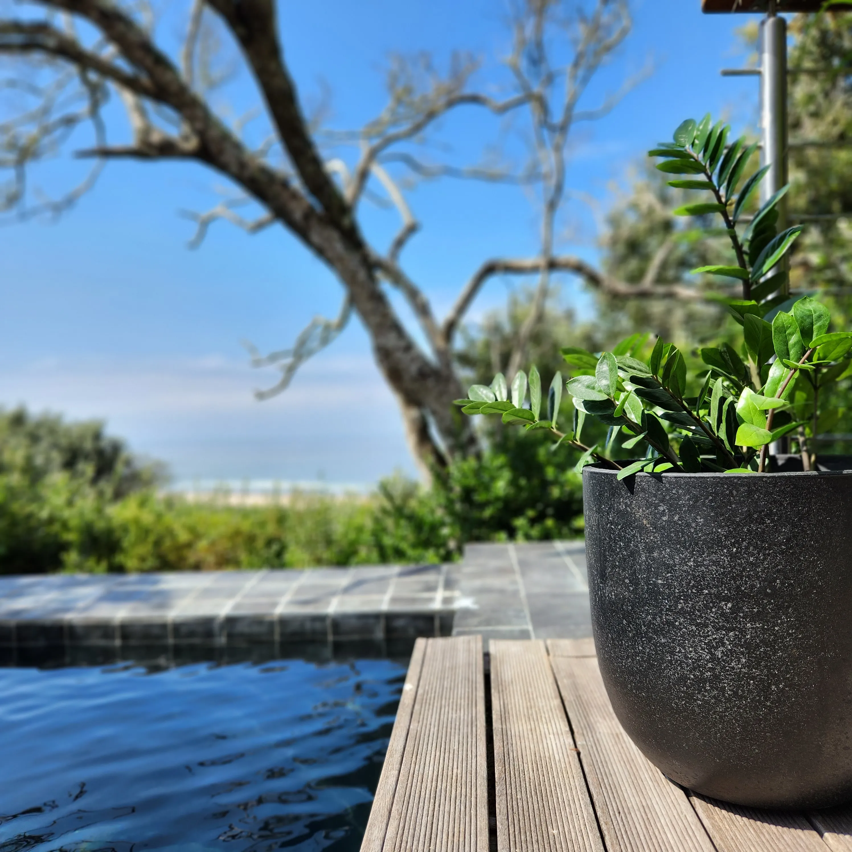 Large charcoal outdoor pot on a modern Sandton patio; Terracotta outdoor pot with succulents in a Pretoria garden; Durable ceramic outdoor pot for Gauteng weather.