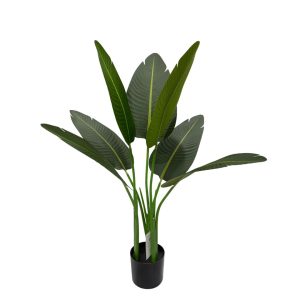 Artificial Strelitzia Plant - Coming Soon