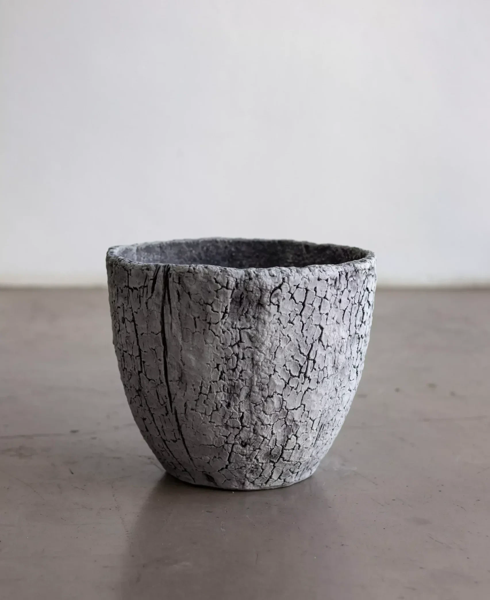 10 Best Tree Pot Choices for a Stunning Gauteng Garden